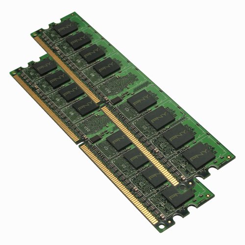 PNY OPTIMA 2GB 2x1GB Dual Channel Kit DDR2 667 MHz PC2-5300 Desktop DIMM Memory Modules MD2048KD2-667 by PNY 並行輸入