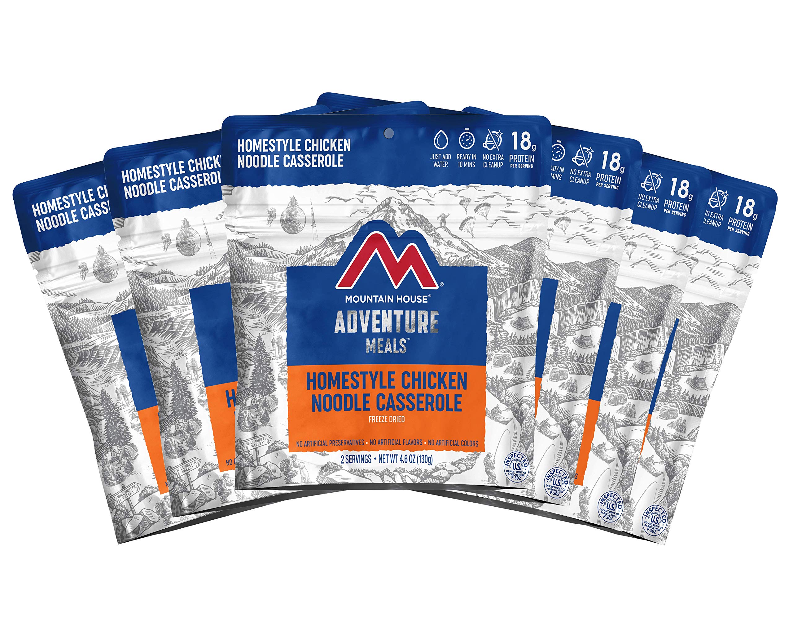 Mountain House Homestyle Chicken Noodle Casserole Freeze Dried Backpacking Camping Food 6-Pack